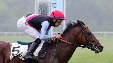 Ippica, per il Derby anche Summer Paradise