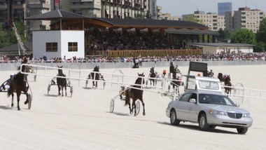 Ippica, festa grande per il trotto alla Maura