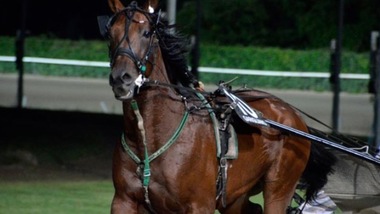 Ippica, Neander Jet sorpresa da 48/1