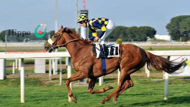 Ippica, sei Botti domenica nel Derby