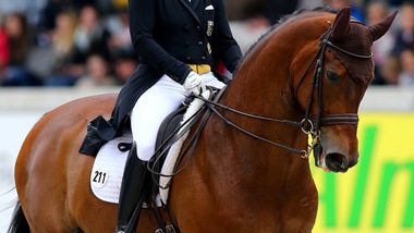 Maltrattò il cavallo fino alla morte: radiato atleta olimpico