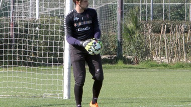 Palermo, ufficiale Colombi: Di Gennaro sbarca a Cagliari