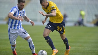 Livorno, nel mirino Fedato della Samp