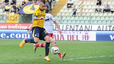 Sampdoria, Fedato in prestito al Livorno