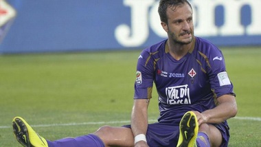 Palermo-Gilardino: i tifosi si dividono
