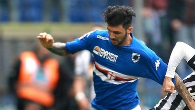 Sampdoria-Carpi, probabili formazioni. Le ultimissime