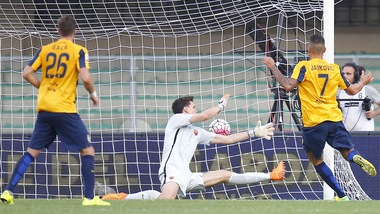 Jankovic: «Gol alla Roma? Ancora non ho fatto nulla»