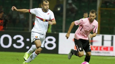 Serie A Palermo al lavoro. Vitiello, fisioterapia