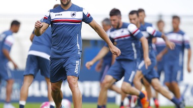 Samp, subito in campo. Contusione Silvestre