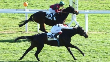 Ippica, doppietta da quasi 170/1 per Rispoli