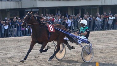 Ippica, Bellei preme Ok sul Telecomando