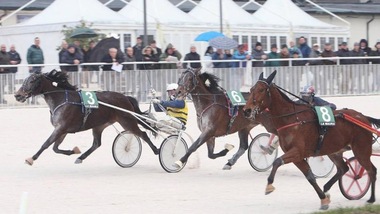 Ippica, è finito il digiuno di Radiofreccia Fi