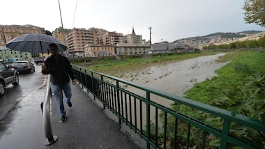Serie A, Sampdoria-Frosinone a rischio rinvio