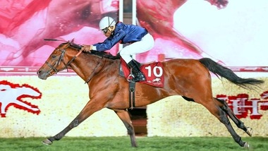 Ippica, finita la stagione 2015-2016 in Qatar