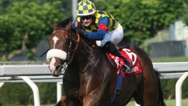 Ippica, niente Dubai per Dylan Mouth