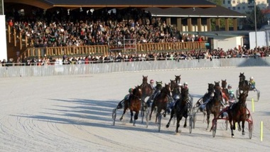 Ippica, attività regolare negli ippodromi