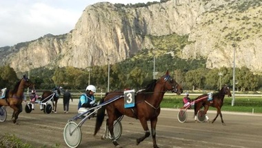 Ippica, i provvedimenti per il TQQ di Palermo