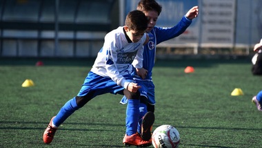 Pulcino di Pasqua - Volpiano-Moncalieri