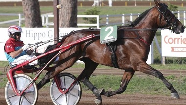 Ippica, a Padova scoperto un Tesoro Superbo