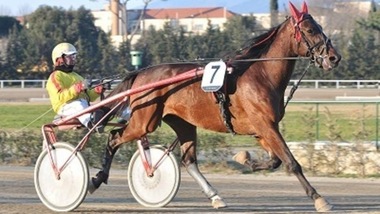 Ippica, pronta replica di Superbo Capar