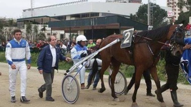 Ippica, Talabarteria nel GP Trinacria