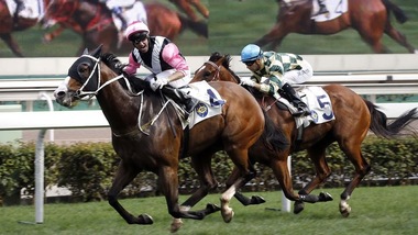 Ippica, un altro gruppo 1 per Beauty Only