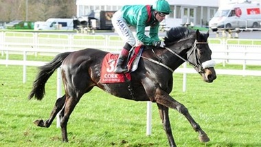 Ippica, tre Aga Khan iscritti al Derby Italiano