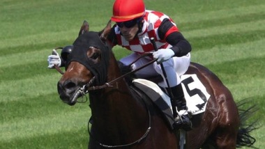 Ippica, Michele Strogoff per il Parioli