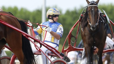 Ippica, per il momento corse regolari