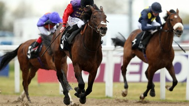 Ippica, ultima Sound of Freedon