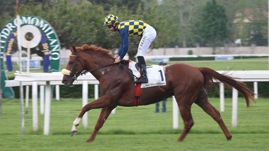 Ippica, gran rientro di Circus Couture