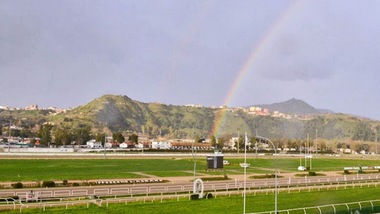 Ippica, Lotteria: ecco i 24 selezionati