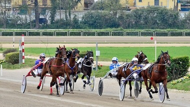 Ippica, Troja d'Asolo con il n. 1 a Napoli