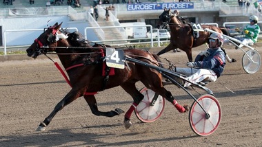 Ippica, Totoo del Ronco passa e ringrazia