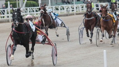 GP Lotteria: Voltigeur de Myrt show in batteria