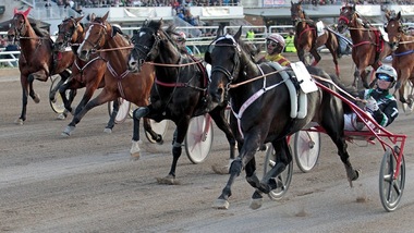 GP Lotteria: vince Oasis Bi, italiano di Svezia