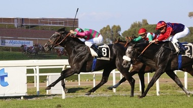 Derby in grigio: Saent batte Dee Dee d'Or