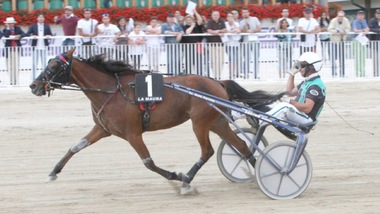 Bellei pigliatutto a Milano