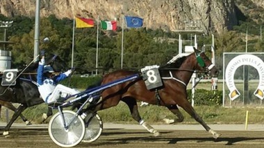 Orsia ci riprova nel Regione Sicilia