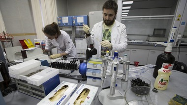 Doping, confermati 16 mesi di squalifica per Abbagnale