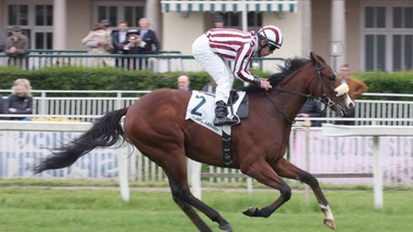 Un Primi Passi per imbattuti