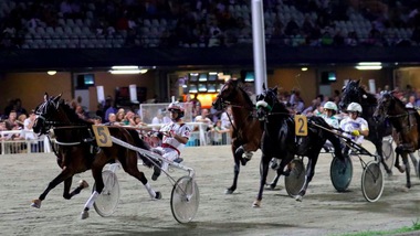 A Cesena un “Grassi” per otto