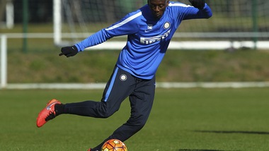 Calciomercato Palermo, Zamparini non molla Gnoukouri