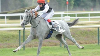 Orani, una storia alla Atzeni