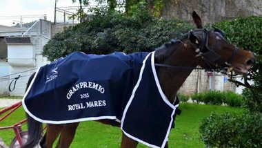 Domenica due GP a Taranto