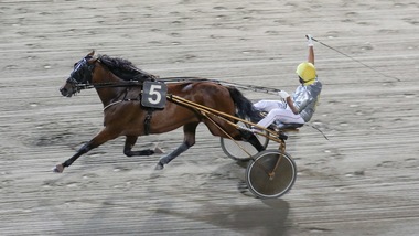 Tamure Roc raccoglie il Testimonial