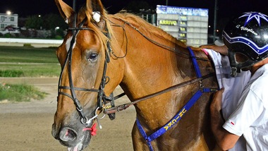Due novità per Unicka al Garigliano