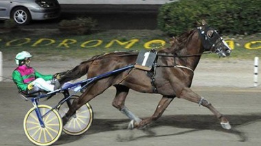 Un Turno per quattordici a Follonica