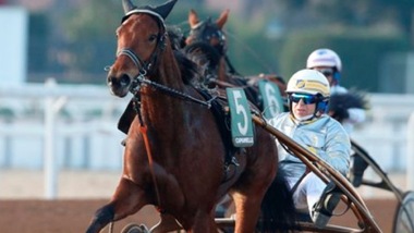 Anche il Marche a Montegiorgio