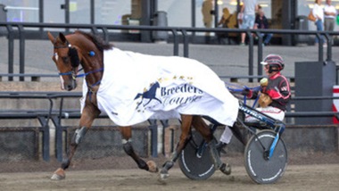 Unicorno Slm al Derby via Torino